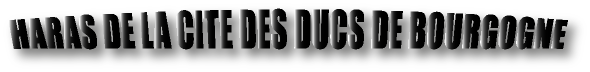 Haras de la Cit des Ducs de Bourgogne